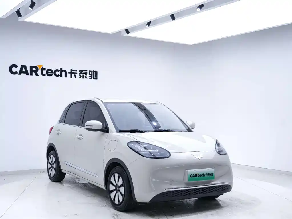 Wuling Binguo 2023 333km