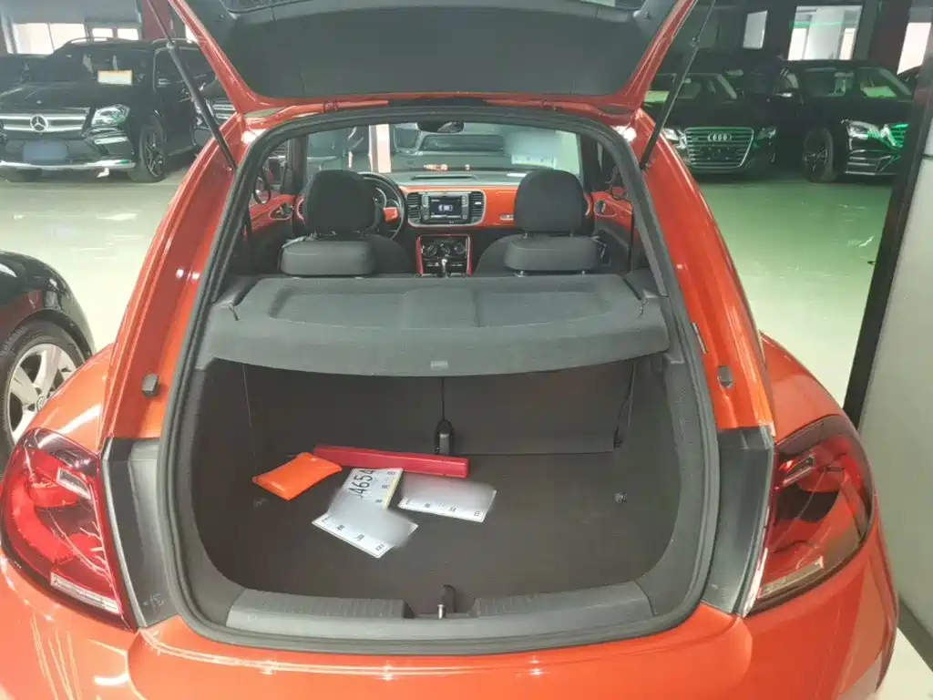 Volkswagen Beetle — миниатюра 19