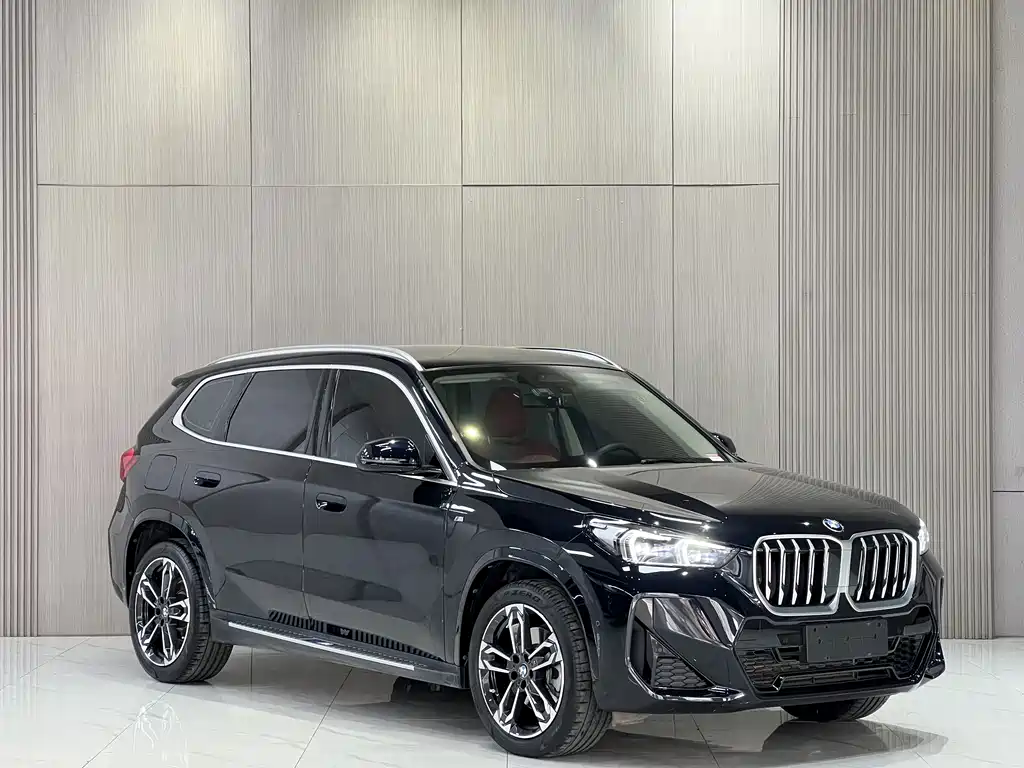 BMW X1 — миниатюра 3