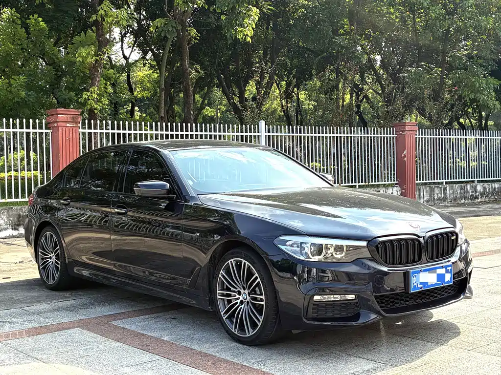 BMW 5 Series — миниатюра 3