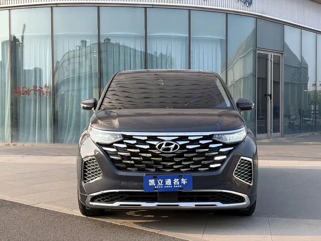 Hyundai Custo — миниатюра 2