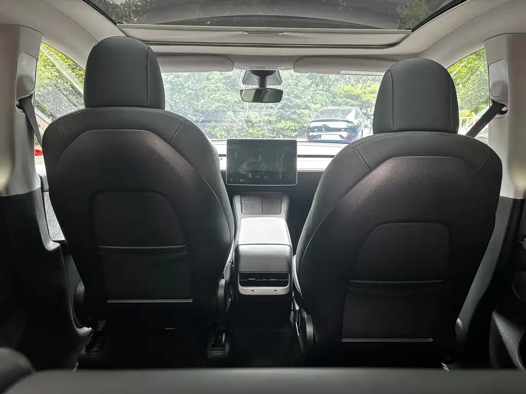 Tesla Model Y — миниатюра 10