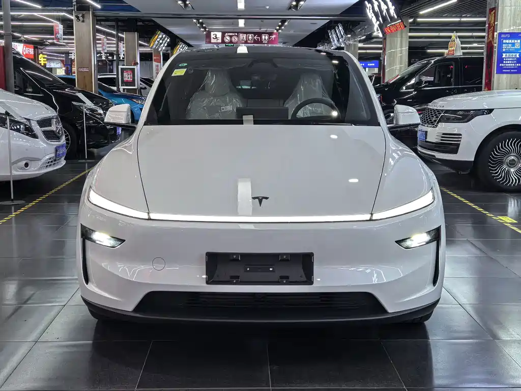 Tesla Model Y — миниатюра 2