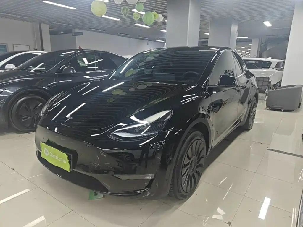 Tesla Model Y — миниатюра 2