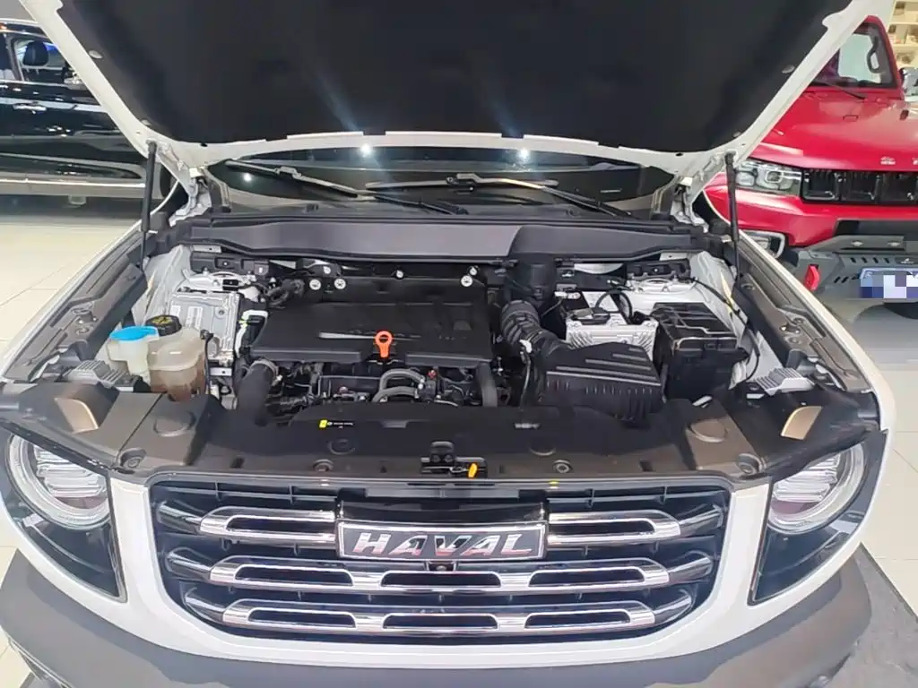 Haval Big Dog — миниатюра 20