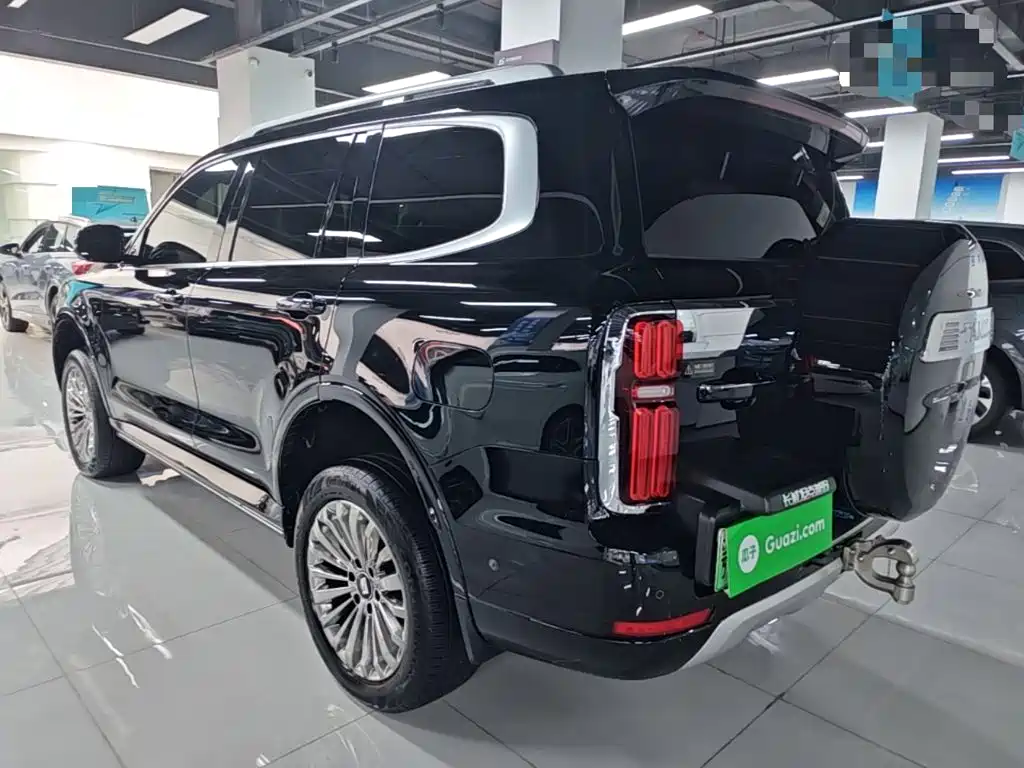 Tank Tank 500 New Energy — миниатюра 5