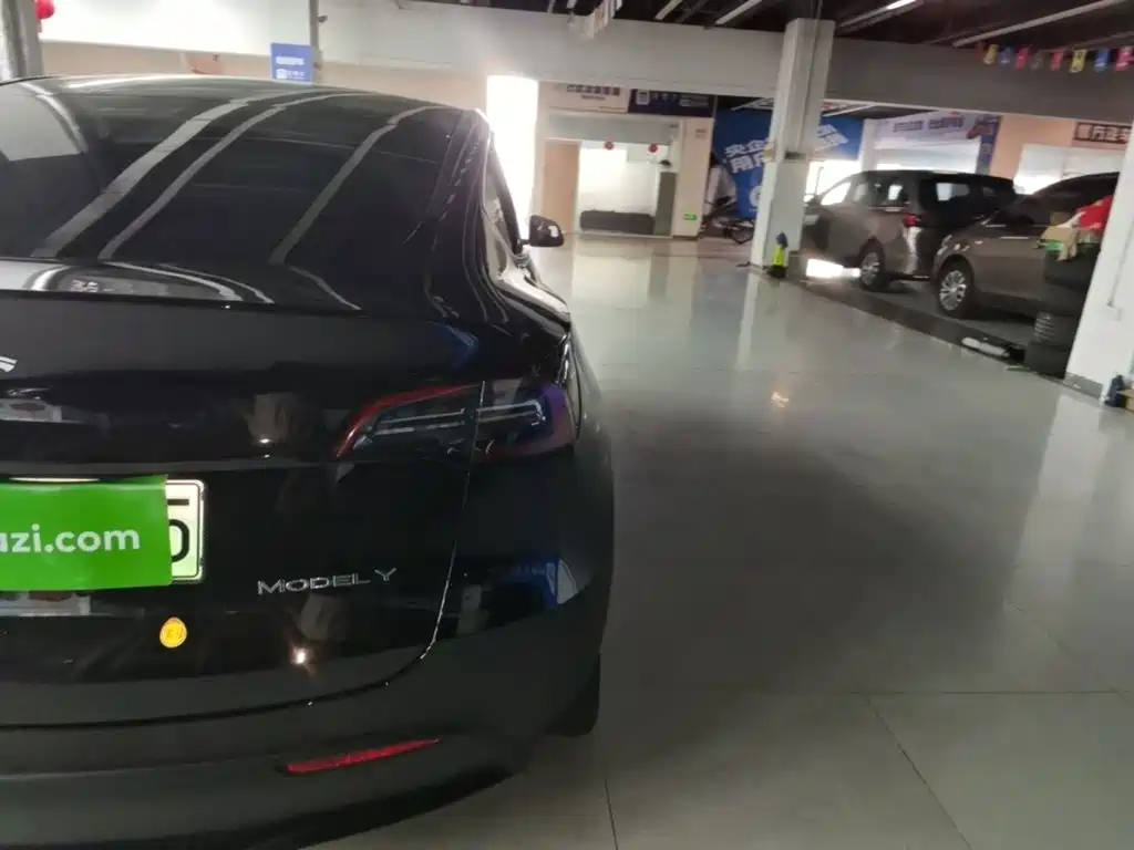 Tesla Model Y — миниатюра 8