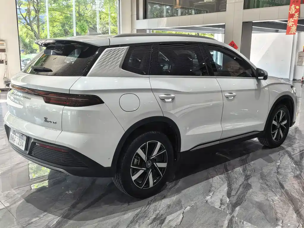 BYD Pro New Energy — миниатюра 20