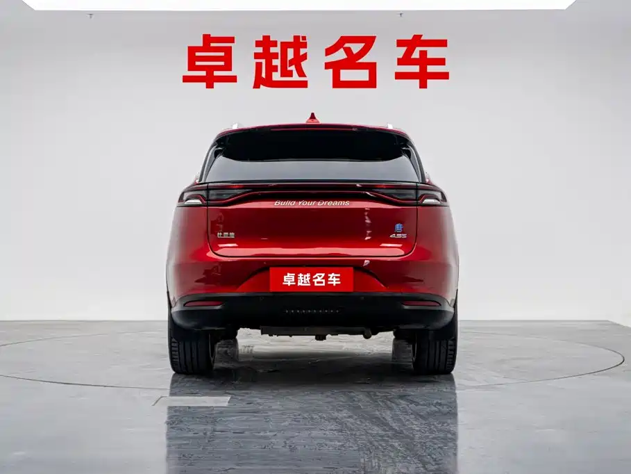 BYD Tang New Energy — миниатюра 2