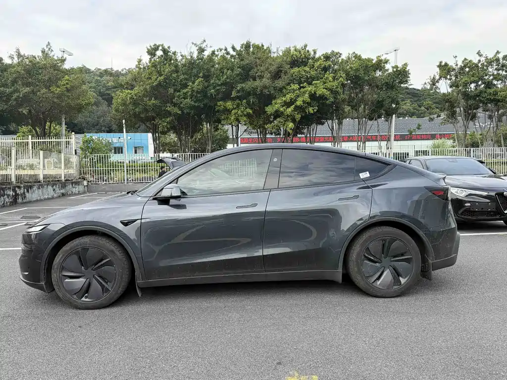 Tesla Model Y — миниатюра 14