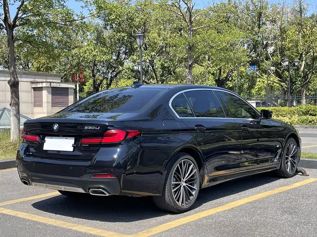 BMW 5 Series — миниатюра 6