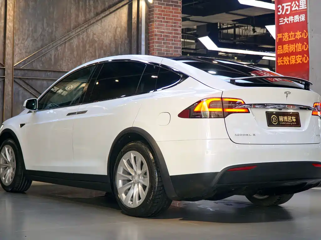 Tesla Model X 2017 Model X 100D