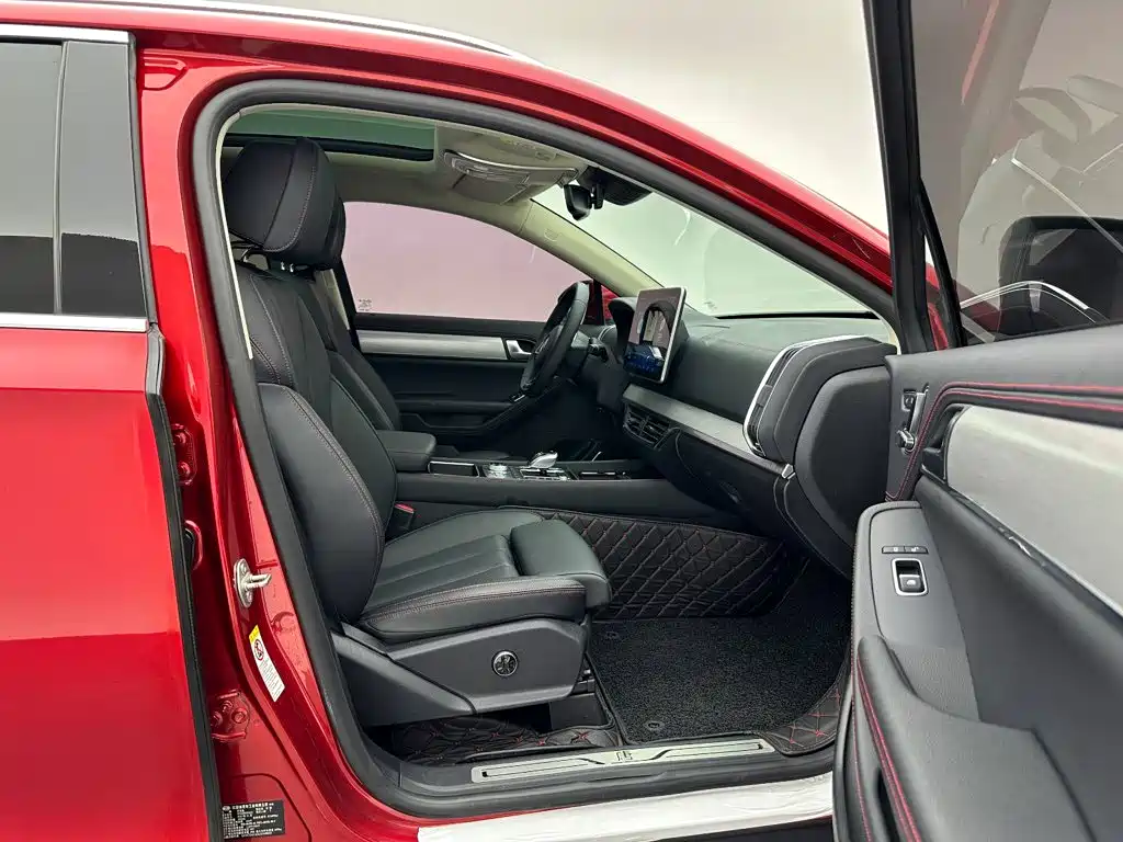 BYD Tang New Energy — миниатюра 24