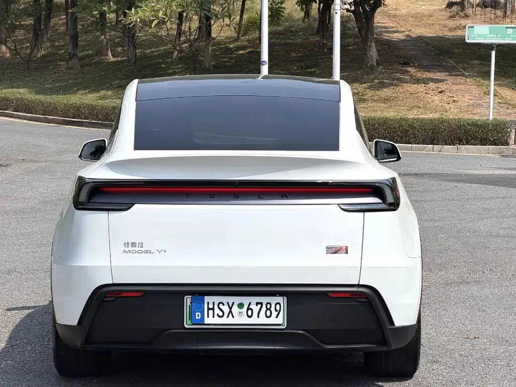 Tesla Model Y — миниатюра 5