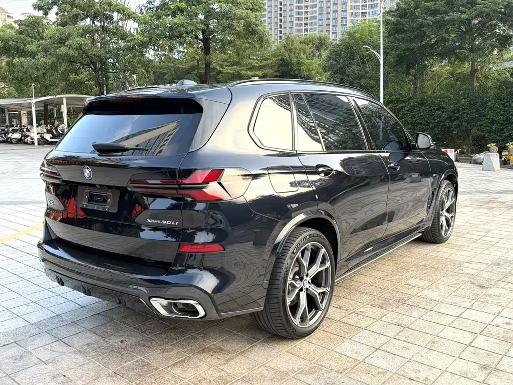 BMW X5 — миниатюра 7