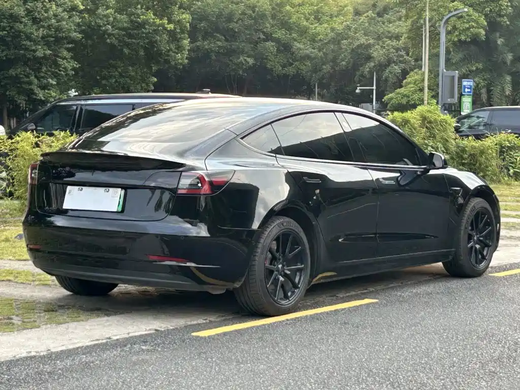 Tesla Model 3 — миниатюра 4
