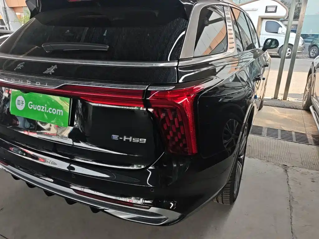 Hongqi Hongqi E-HS9 — миниатюра 8