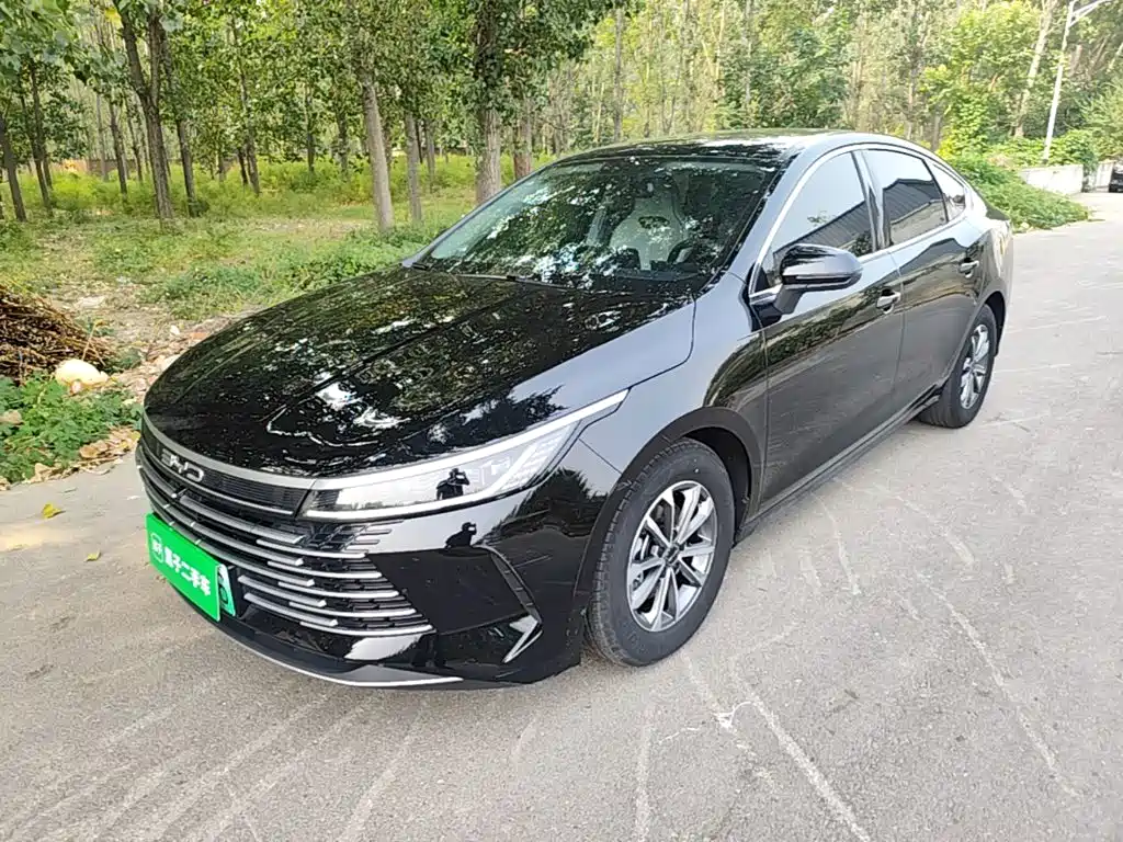 BYD Destroyer 05 — миниатюра 2