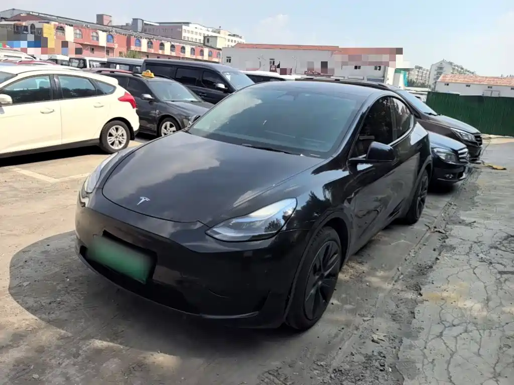 Tesla Model Y — миниатюра 2