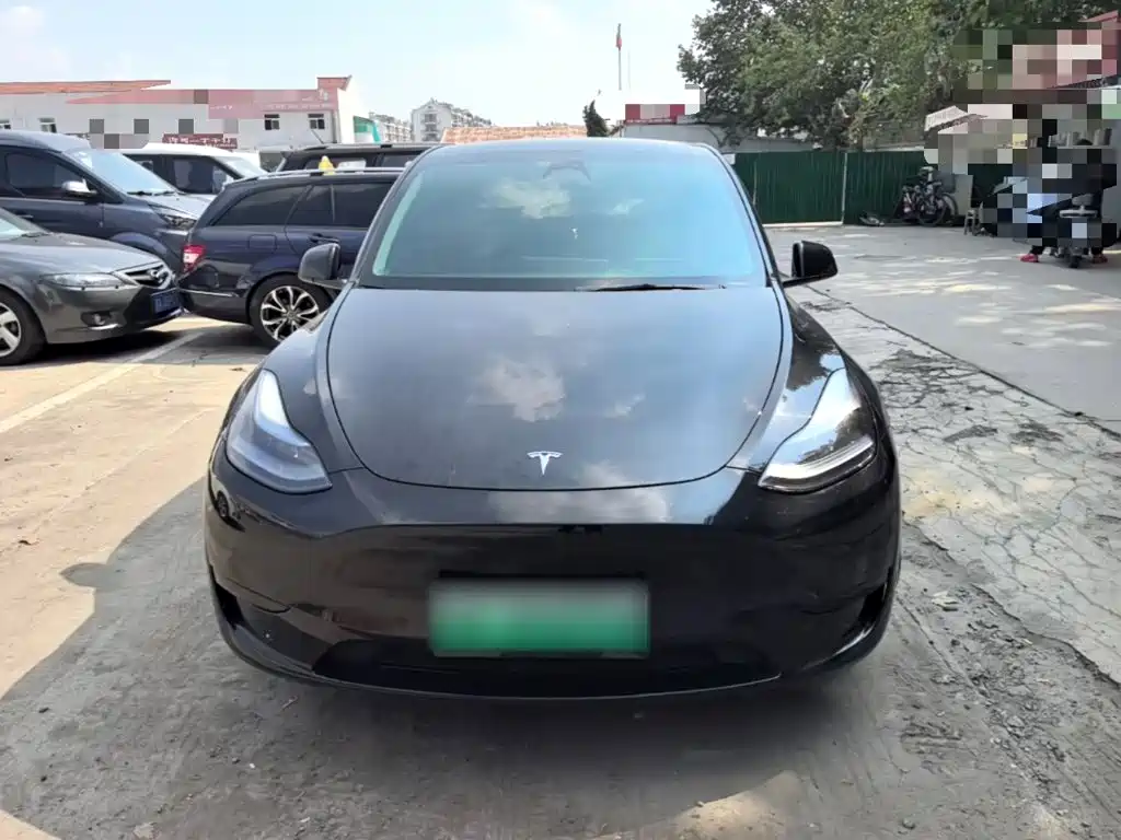 Tesla Model Y — миниатюра 3