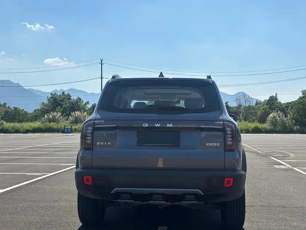 Haval Big Dog — миниатюра 17