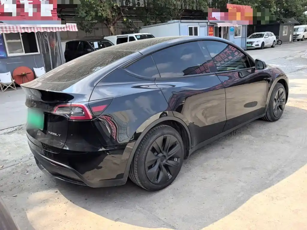 Tesla Model Y — миниатюра 7