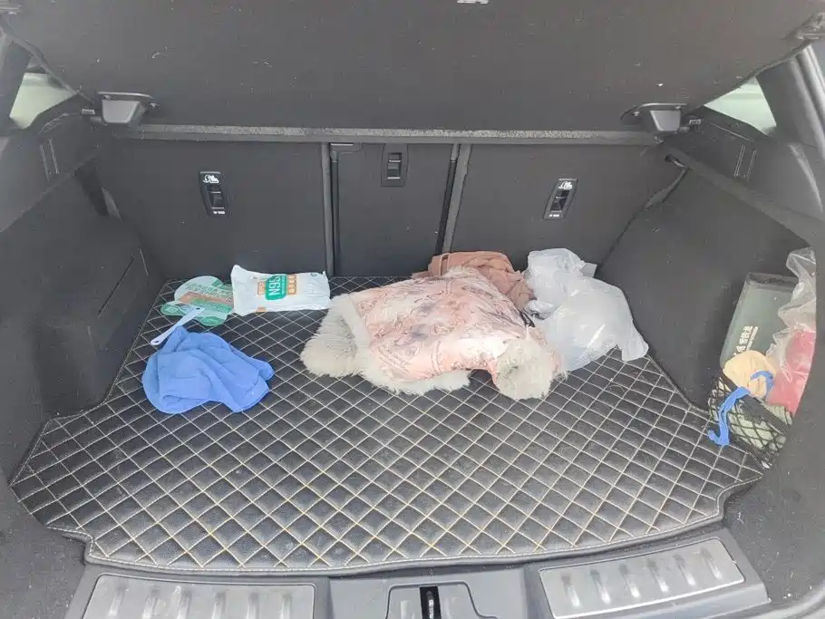 Land Rover Evoque — миниатюра 4