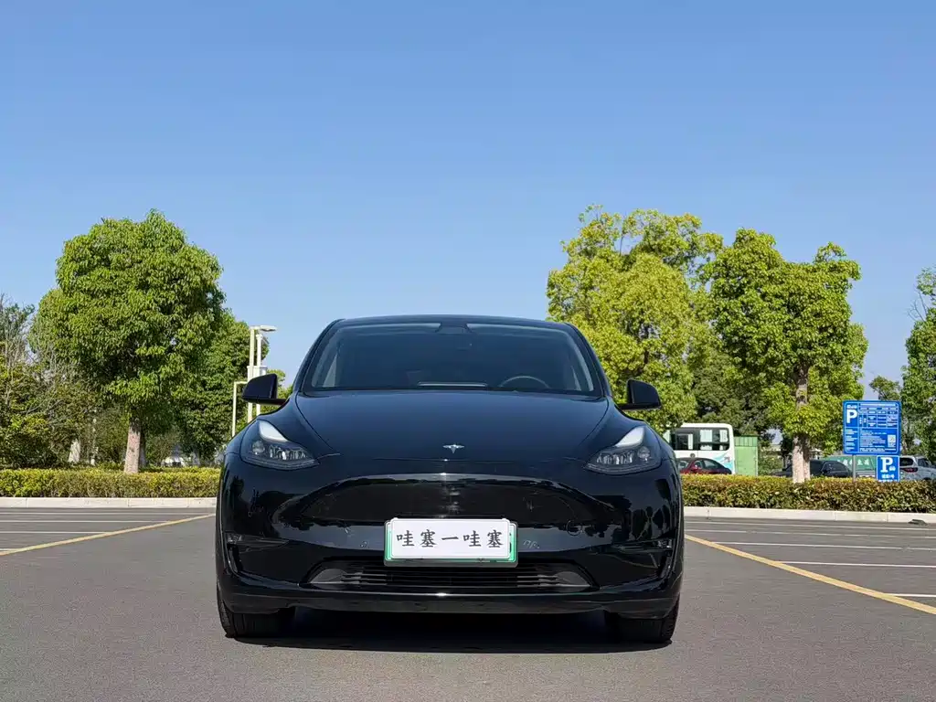 Tesla Model Y 2021