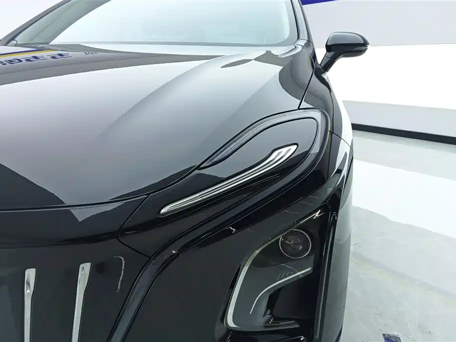 Hongqi HONGQI E QM5