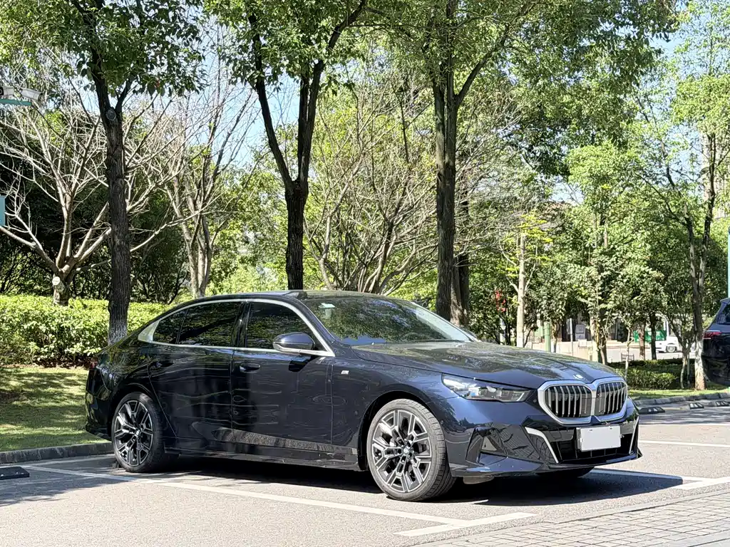 BMW 5 Series — миниатюра 3
