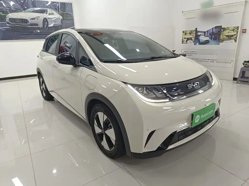 BYD Dolphin — миниатюра 4