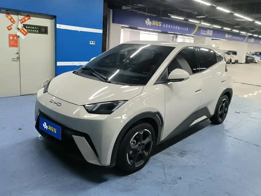 Byd Seagull 2023