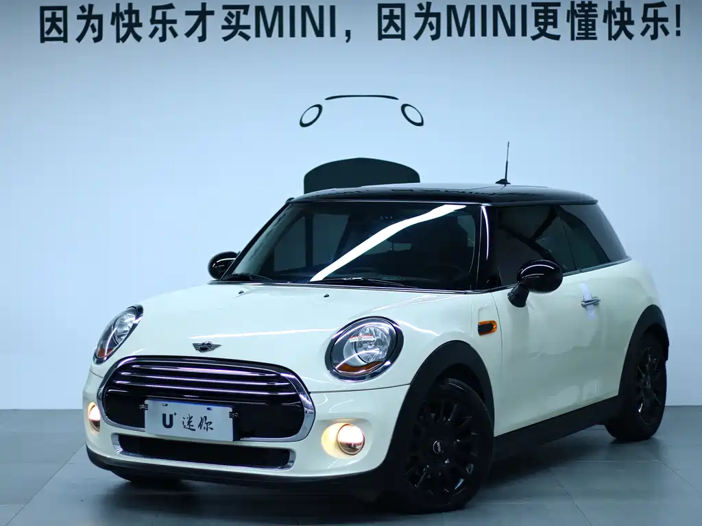 Mini Mini 2014