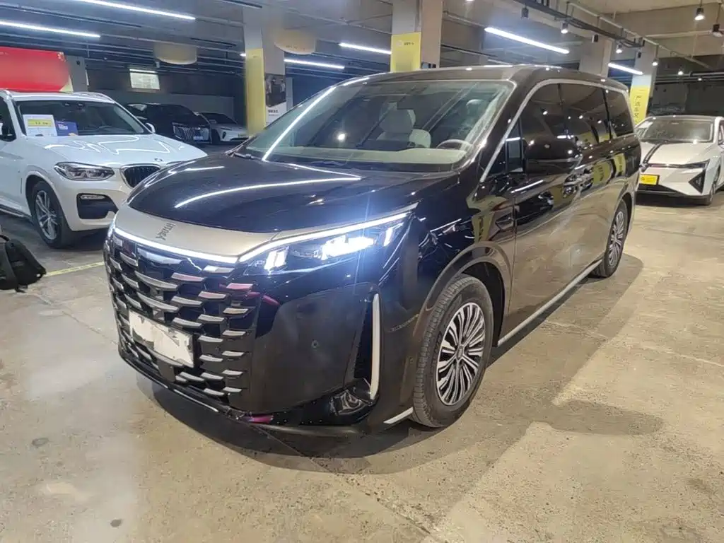 BYD Xia — миниатюра 2