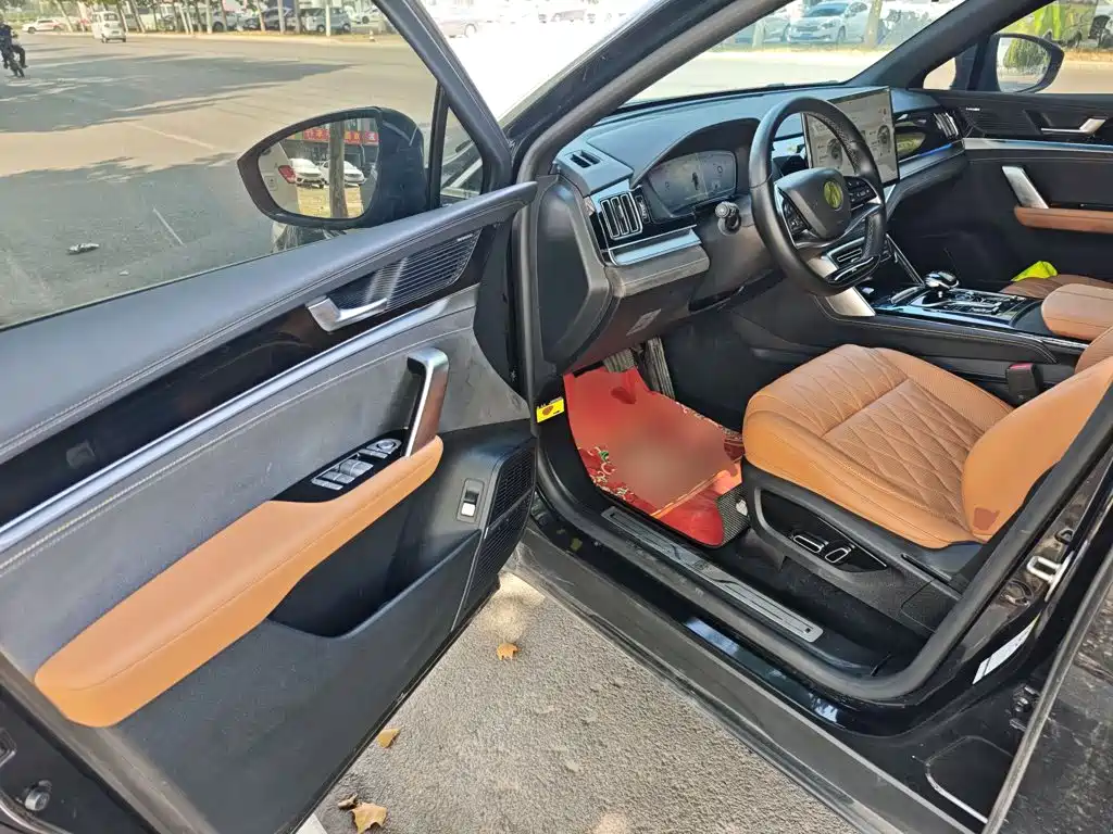 BYD Tang New Energy — миниатюра 16