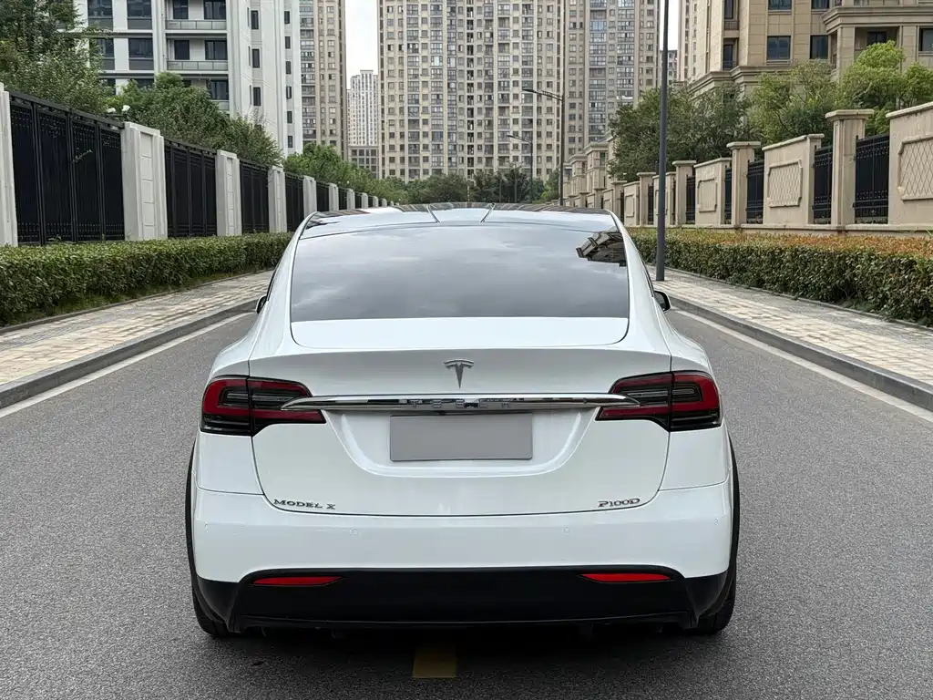 Tesla Model X — миниатюра 11