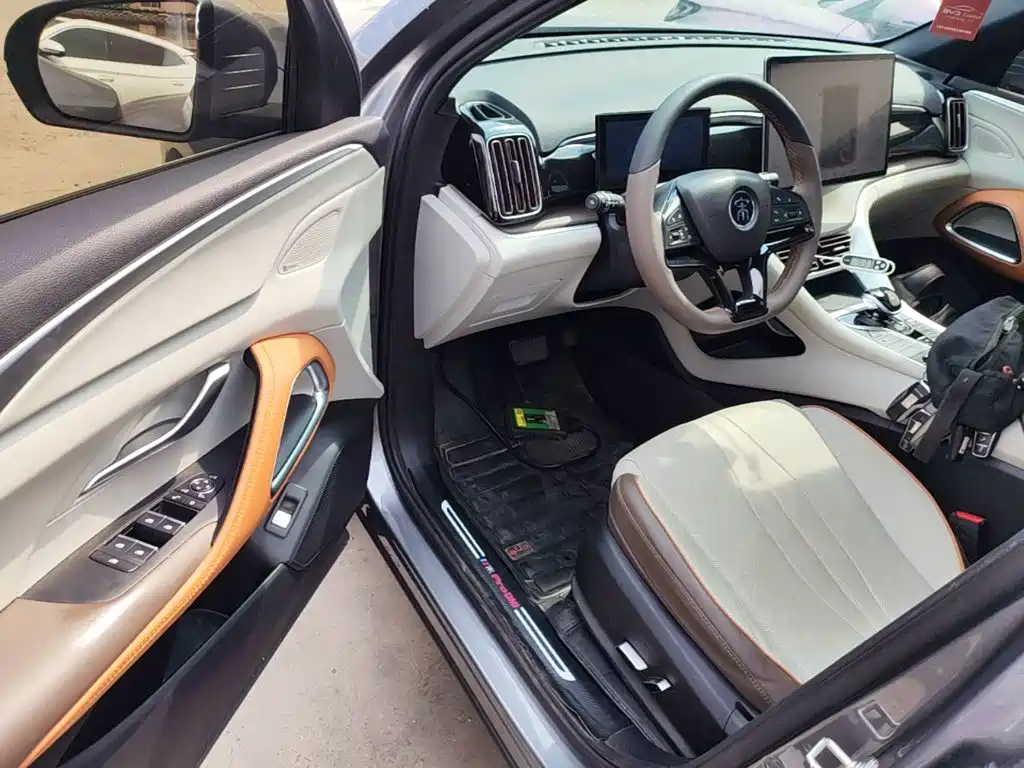 BYD Pro New Energy — миниатюра 16