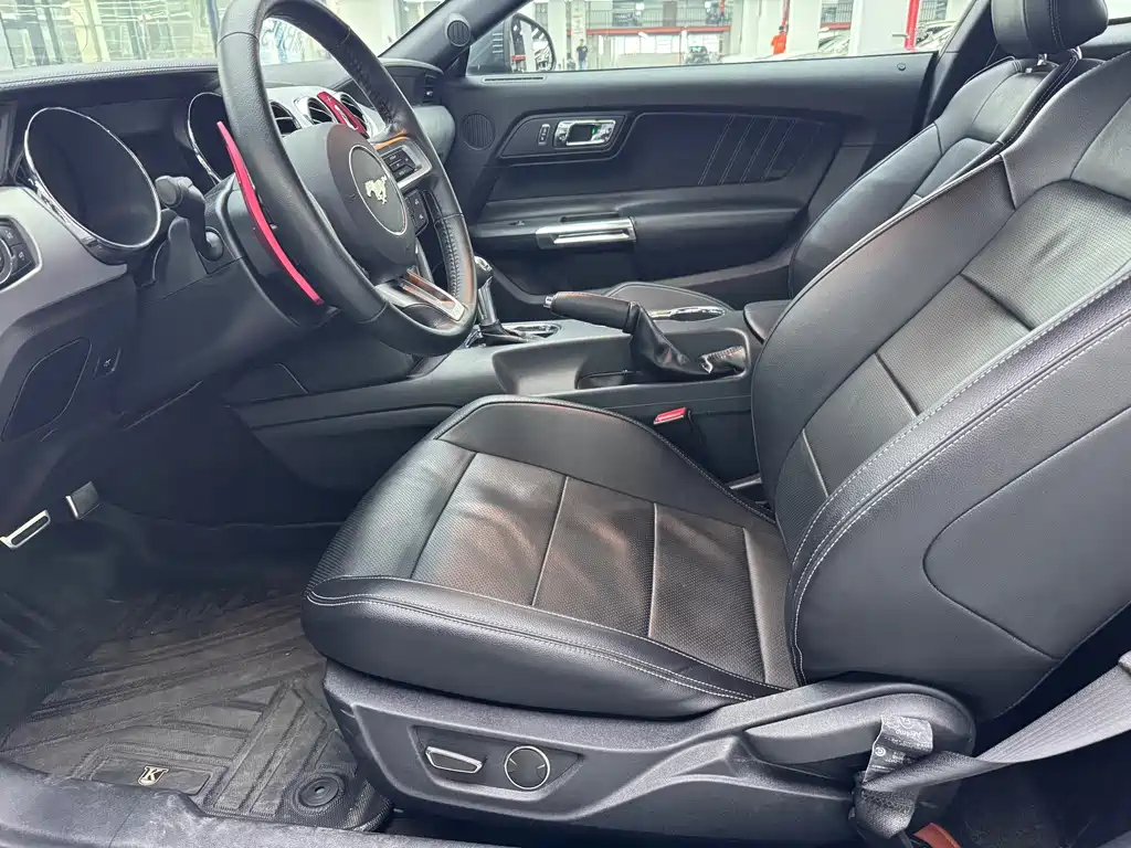 Ford Mustang — миниатюра 7