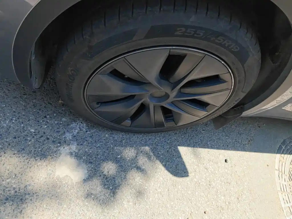 Tesla Model Y — миниатюра 23