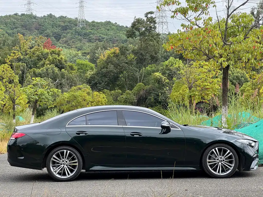 Mercedes-Benz CLS 2022 CLS 300