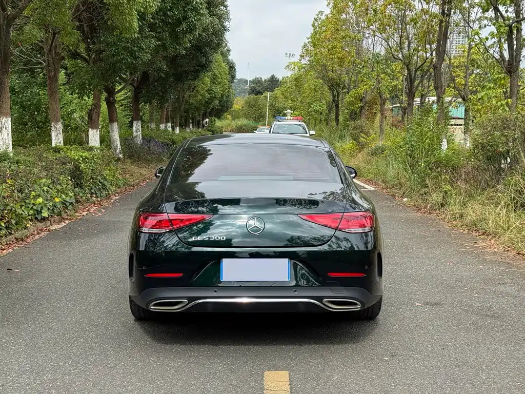 Mercedes-Benz CLS 2022 CLS 300