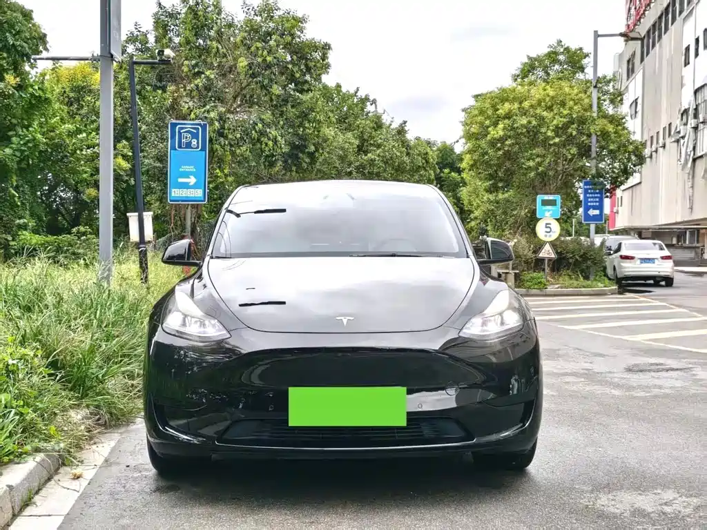 Tesla Model Y — миниатюра 2