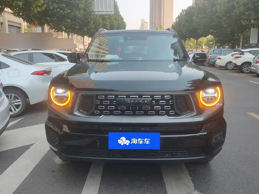 Haval Big Dog PLUS — миниатюра 2