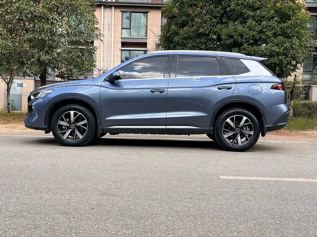 BYD Pro New Energy — миниатюра 11