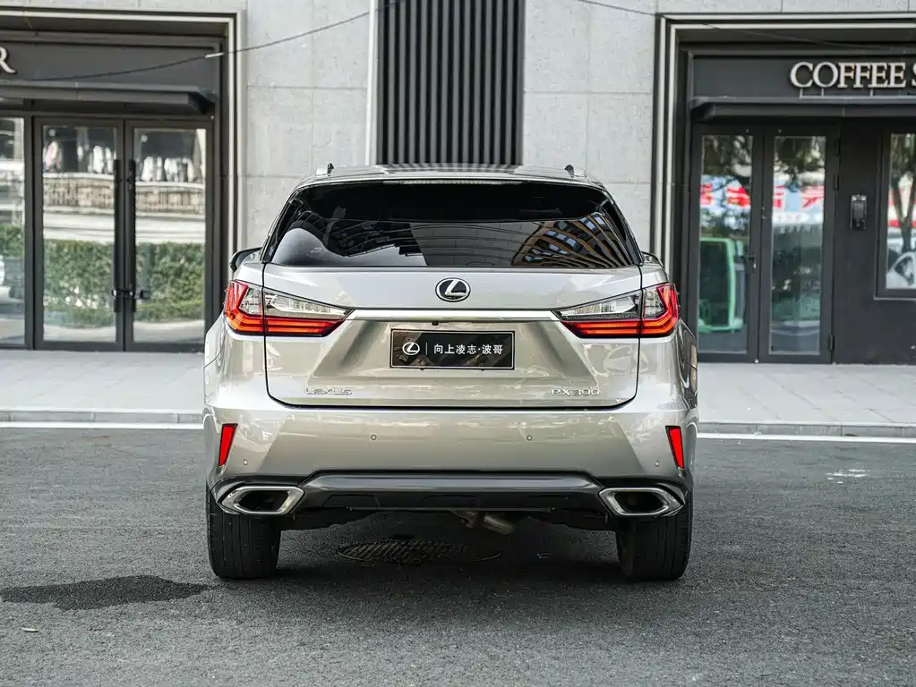 Lexus RX — миниатюра 5