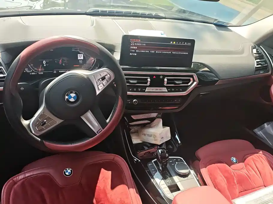 BMW X3 — миниатюра 12