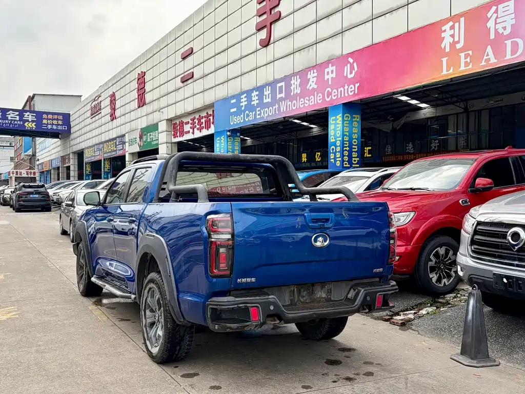Great Wall Pao — миниатюра 4
