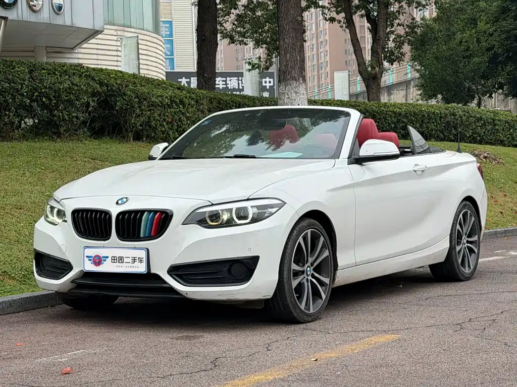 BMW 2 Series (Import)