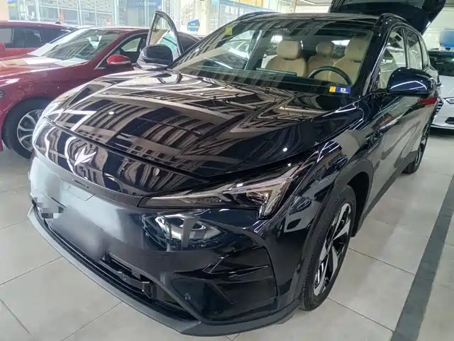 ARCFOX EXTREME FOX POLAR FOX ALPHA T5 2025