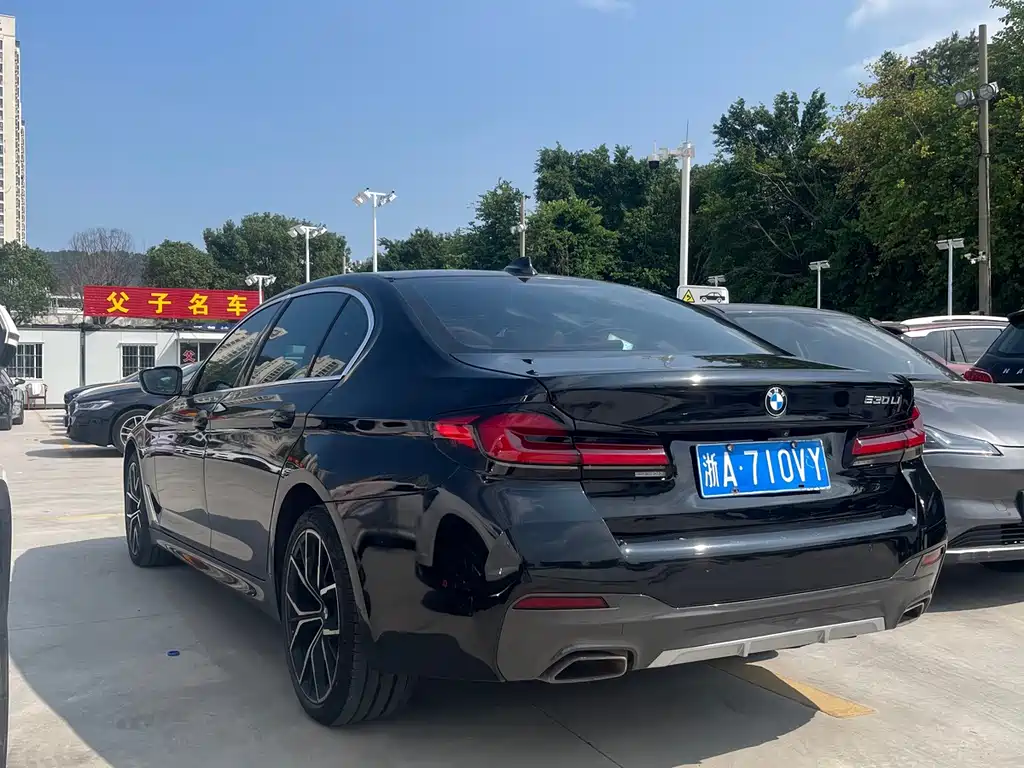 BMW 5 Series — миниатюра 8